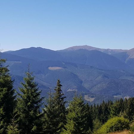 Міні Котедж Verkhovyna Esterno foto