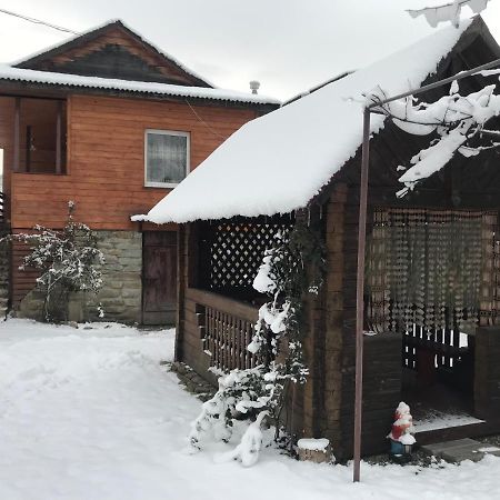 Міні Котедж Verkhovyna Esterno foto